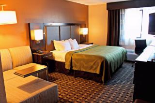 Quality Inn & Suites Detroit Metro Airport - Romulus - 5