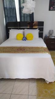 Large 2 Bedroom 2 Bath Apartment#4 in City of Roseau by Green Castle - Roseau - 1
