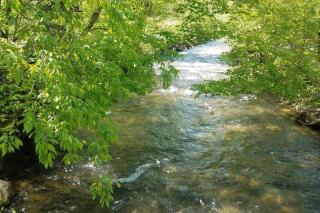 Country Mountain Escape! - Barnardsville - 3