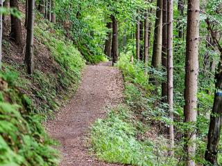 3 person holiday home in TROSA-By Traum - 2