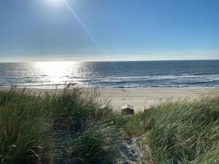 Beachhouses Texel - De Koog - 3