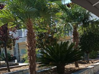 Bella Terra Nature Living - 8