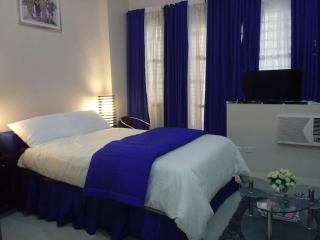 Newly Made and fully furnished. - Manille - 3