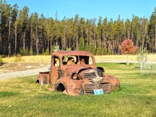Tall Timbers Cabin - 2
