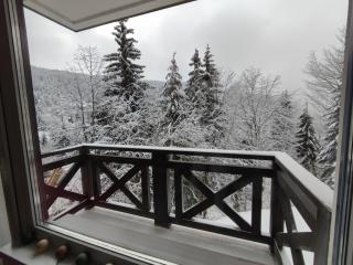 Apartman Dve Skije, Apartmani Šišarka - 2