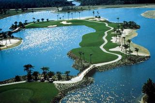 GreenLinks Golf View Villa Flamingo at Lely Resort - 2