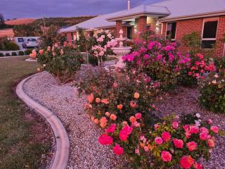 Kadi House - Unit 1 - Wynyard - 3