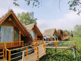 Coco Island Cồn Phụng - Ben Tre - 6