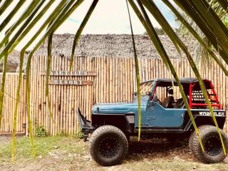 Nautilus Hostel & Hammocks - Panglao - 6