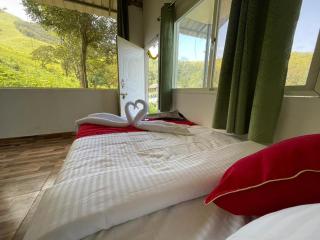 Kanasucoffeenadu - 7