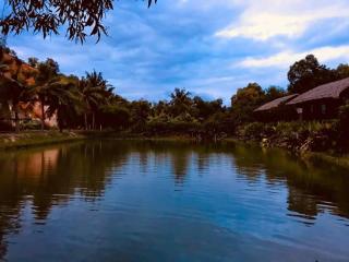 Vita Garden Homestay - Phan Thiet - 6