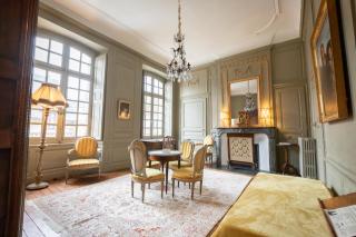 L'Hotel de Panette, Un exceptionnel château en coeur de ville - Bourges - 7