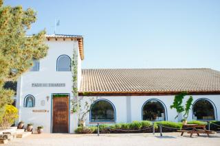 Pago de Tharsys - Requena - 8