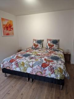 Gîte Chez Yann - Steinbach - 2