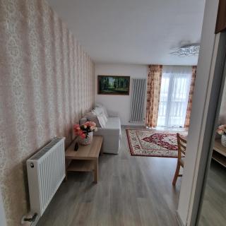 Dream Mountain 9 - Buşteni - 7