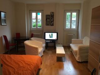 Appartement à 7 minutes de la gare de Lausanne - Lausanne - 2
