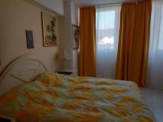Two Bedroom Apartment Farmec - Cluj-Napoca - 4