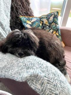 18 Duckpool - Kilkhampton - 6