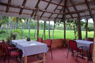 Doctors Ayurveda Heritage - Varkala - 3