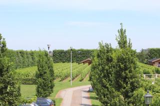 Wijngaard Saalhof - 4