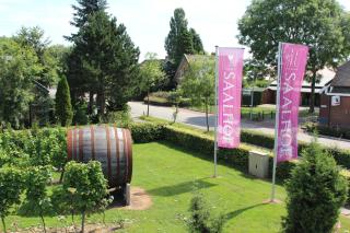 Wijngaard Saalhof - 3