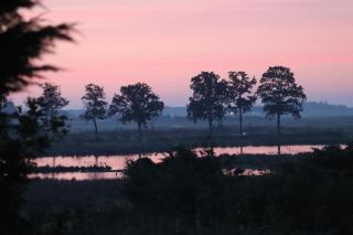 Little Creek - Renesse - 2