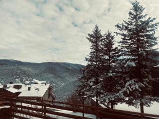 APARTAMENT LA MOLINA ( ELS CIRERES ) - 1