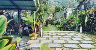 Baan Hinlad Home and Hostel - Lipa Noi - 1