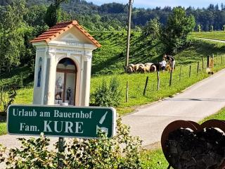 Bauernhof Kure - Leutschach - 8