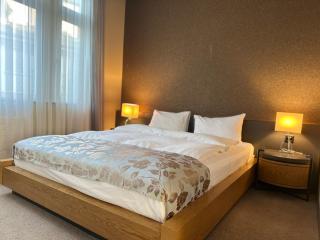 Plaza Hotel Winterthur - Winterthur - 2