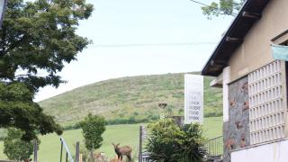 Mountain Home Lodge in Deer Park - Nara - 7