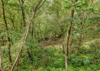 Quarry Walk Lodges - Cheadle - 3