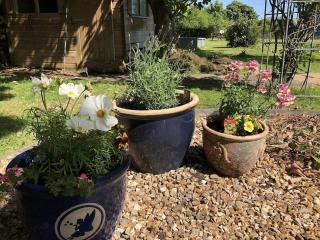 Large Family House - sleeps 10. Central Location. 15 mins from coast. - 4