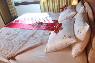 Hotel Brod Panini Veles - Veles - 3
