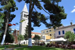Apartment Matea - Novigrad - 6
