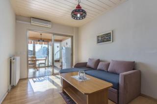 Bungalow Pintar - Novigrad - 6