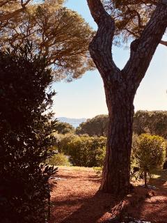 Le Mas du Soleil - Sainte-Maxime - 2