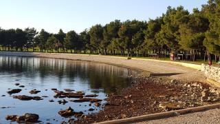 Apartment Nadia - Novigrad Istria - 2