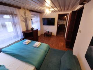 Cosy Lake - Kranjska Gora - 7