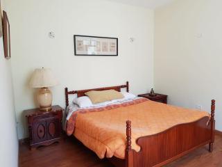 Beautiful & fully renovated flat in historic city center - 5