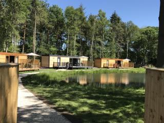 Oak Boutique Lodge includes hot tub air con & dog - York - 0