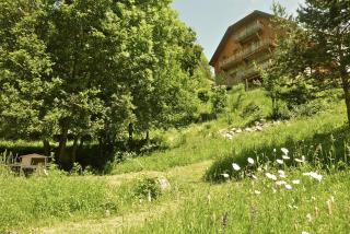 Le Moulin Ollivier - Saint-André-dʼEmbrun - 4