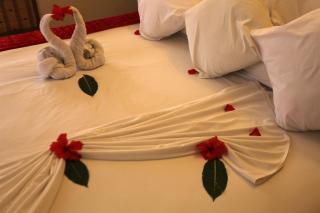 Golden Tulip Stone Town Boutique - 8