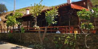 Ferradosa GuestHouse - Vale de Figueira - 8