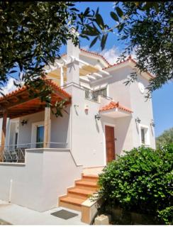 Olive Tree House I - - 4