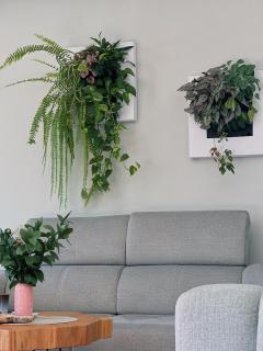 Luna House & Cowork - Cascais - 8