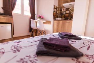 S&N Apartments Nis - Niš - 6