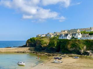 Sea Thrift - Port Isaac - 8