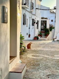 El corralón - Frigiliana - 9