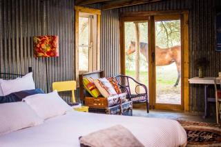 The Shearing Shed - Boutique Farm Stay - Cowra - 9